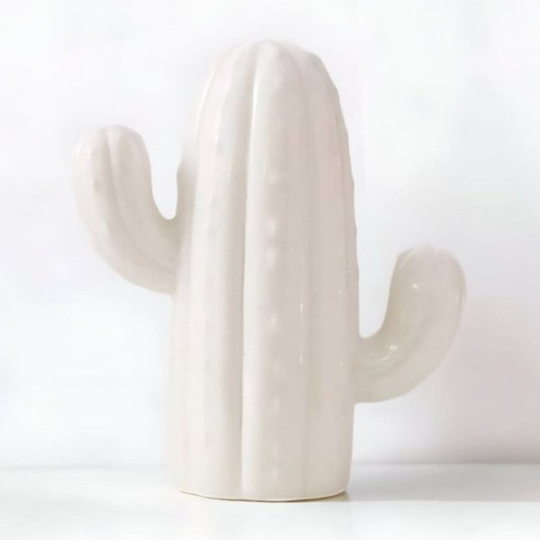 Tirelire adulte cactus, ajout ludique à votre décor